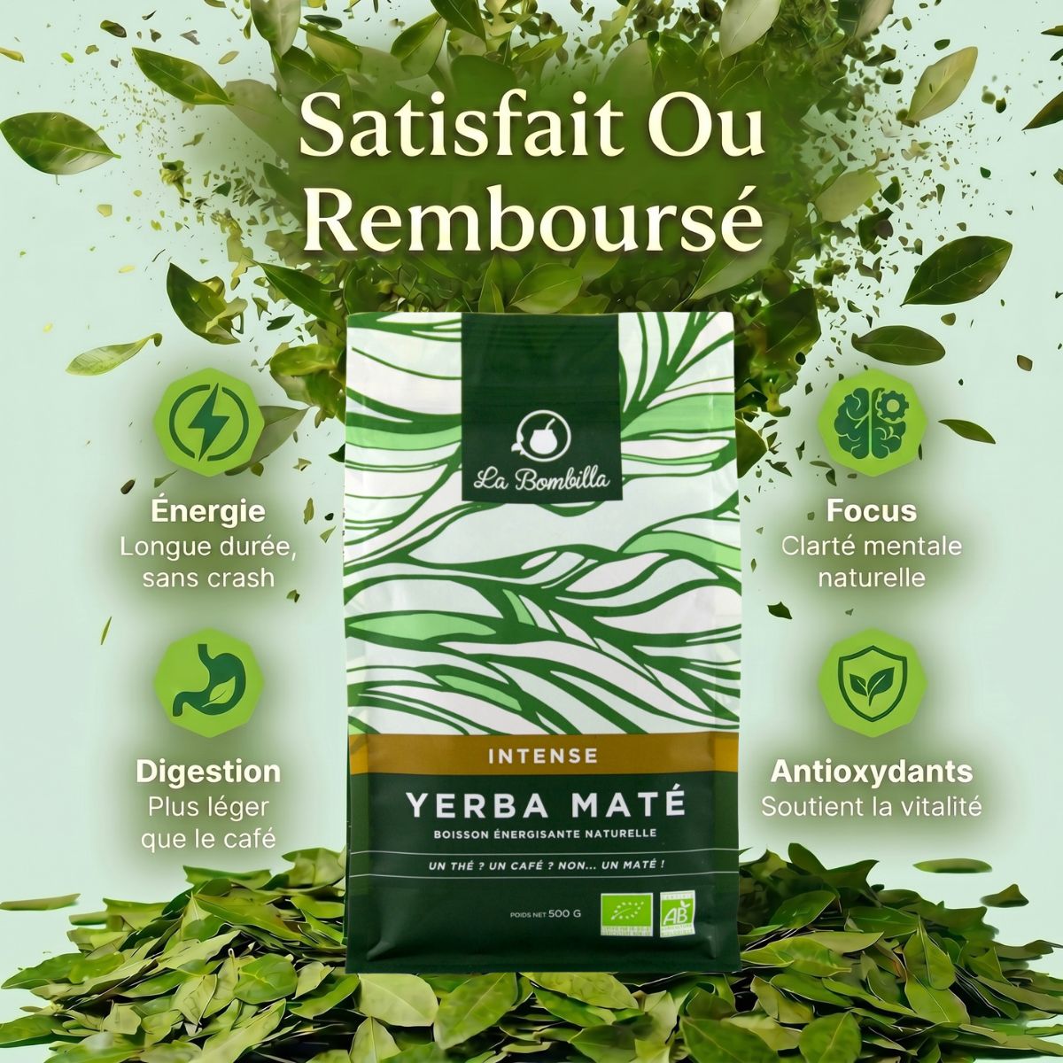 Maté Intense Bio