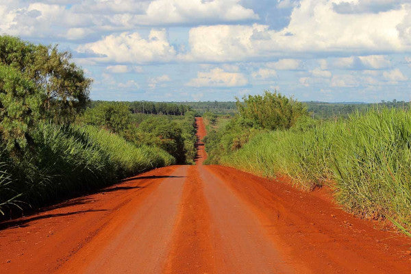 Route du maté Road Trip Argentine
