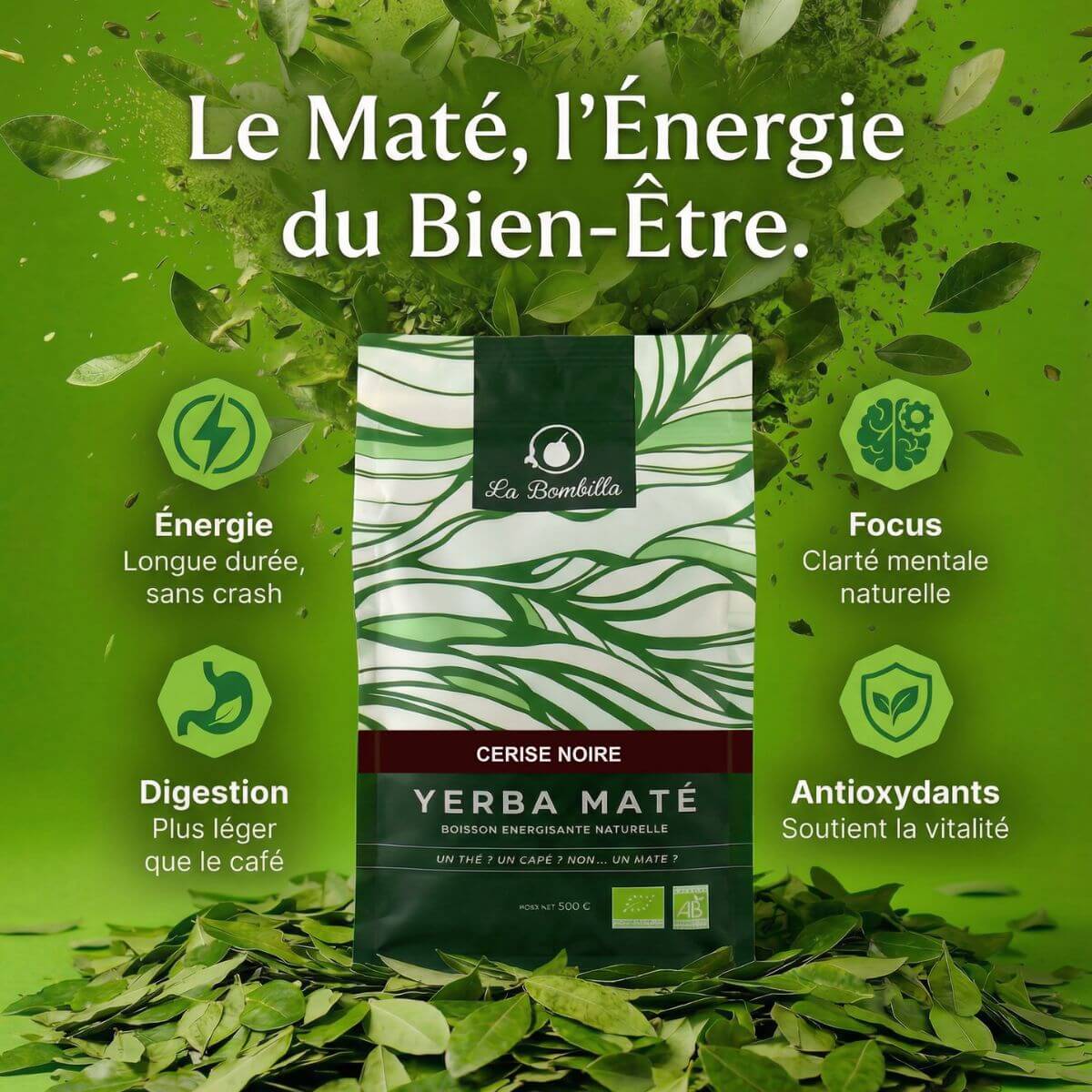 Maté Cerise Noire Bio