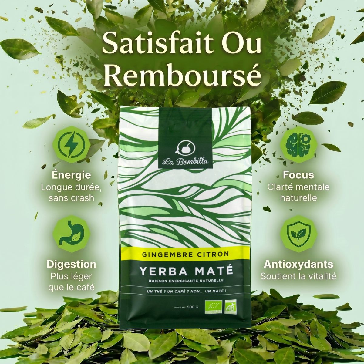 Maté Gingembre Citron BIO