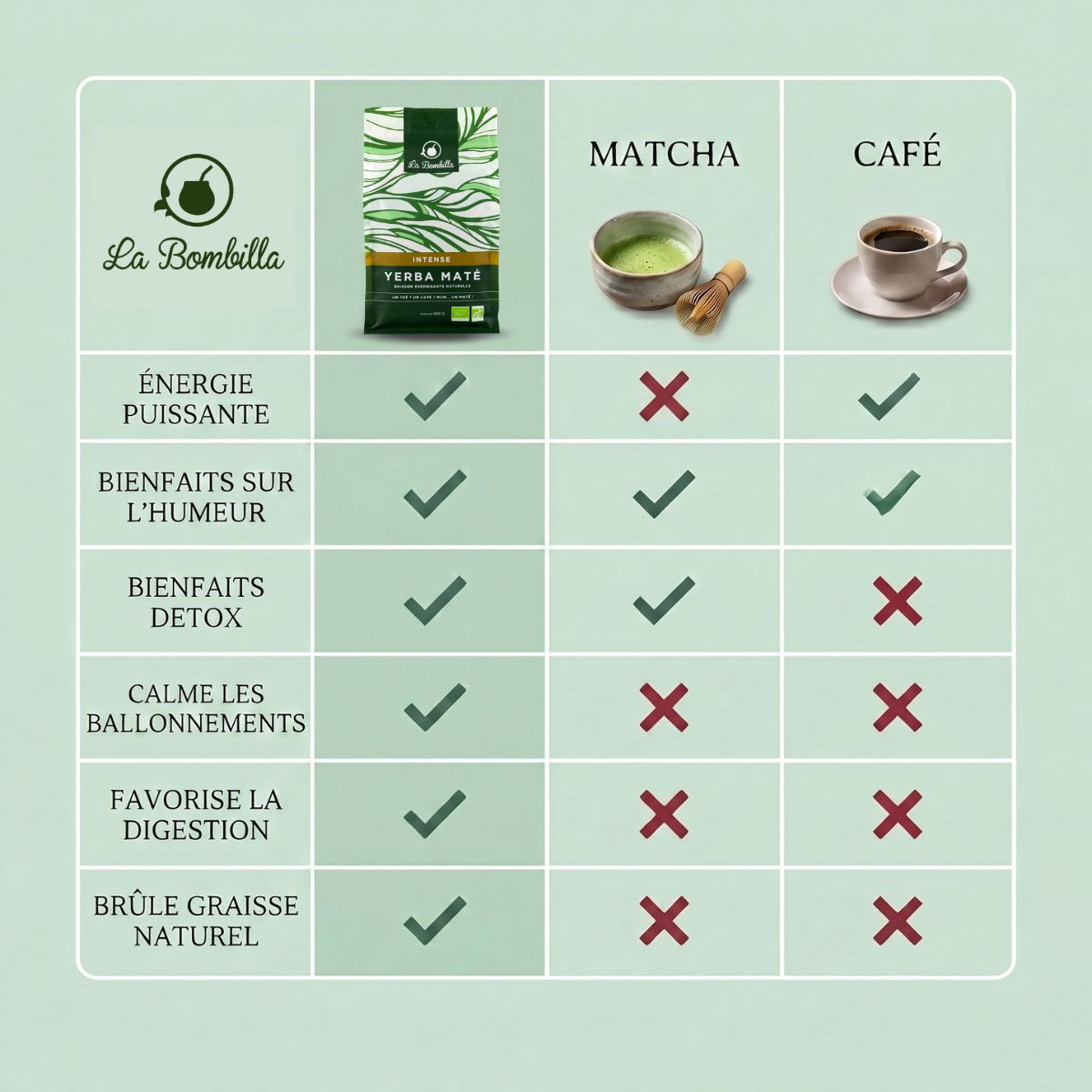 Maté Intense Bio