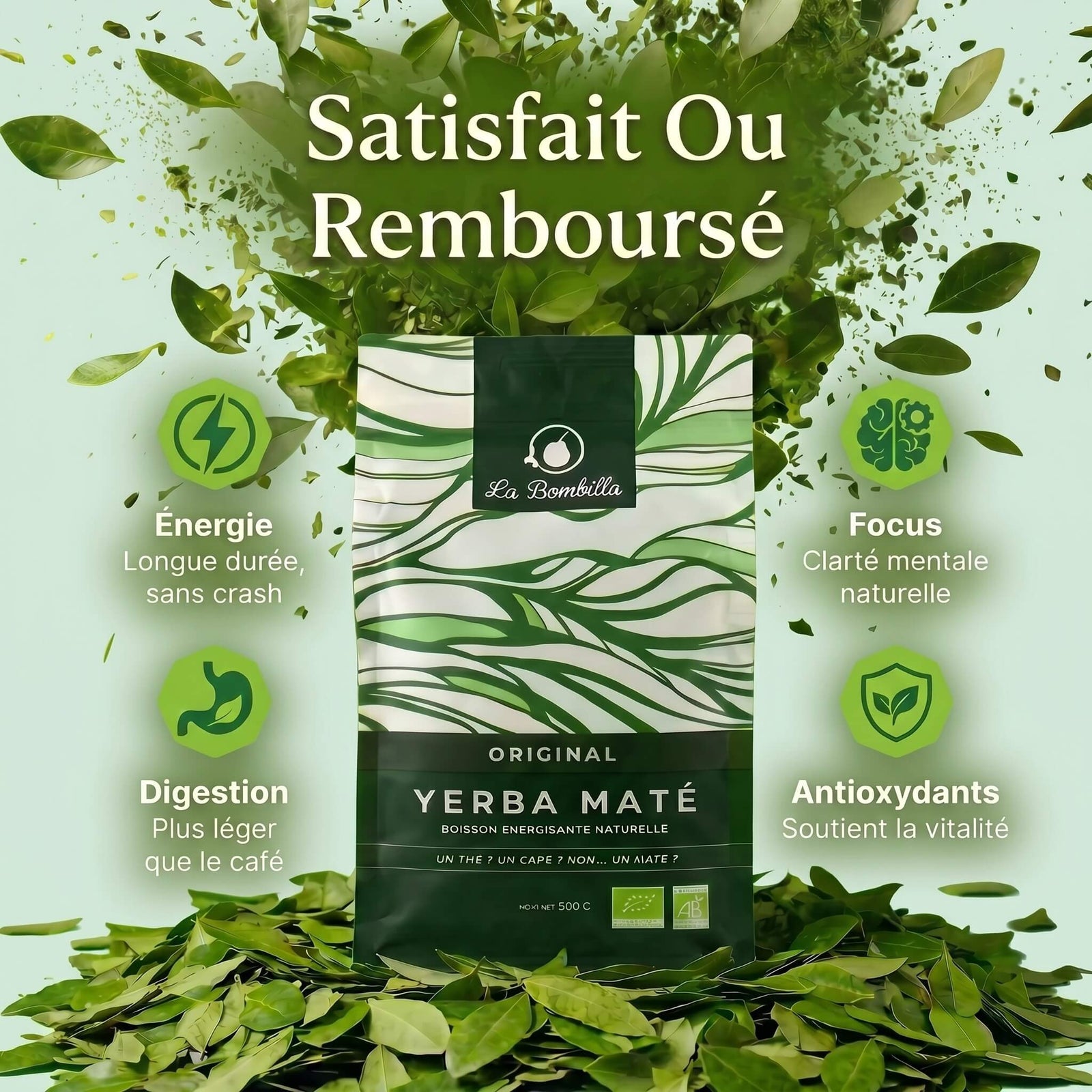 Maté vert